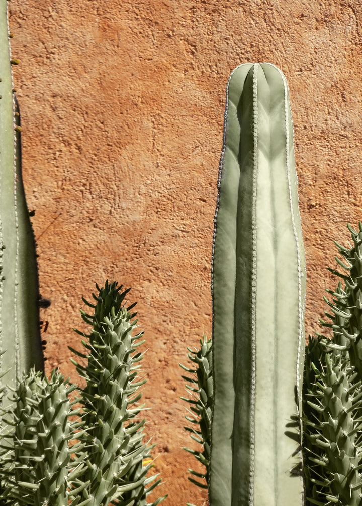 Ljuddämpande tavla - Cactus Plant