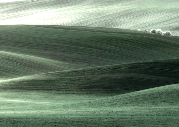Juliste - Area Green
