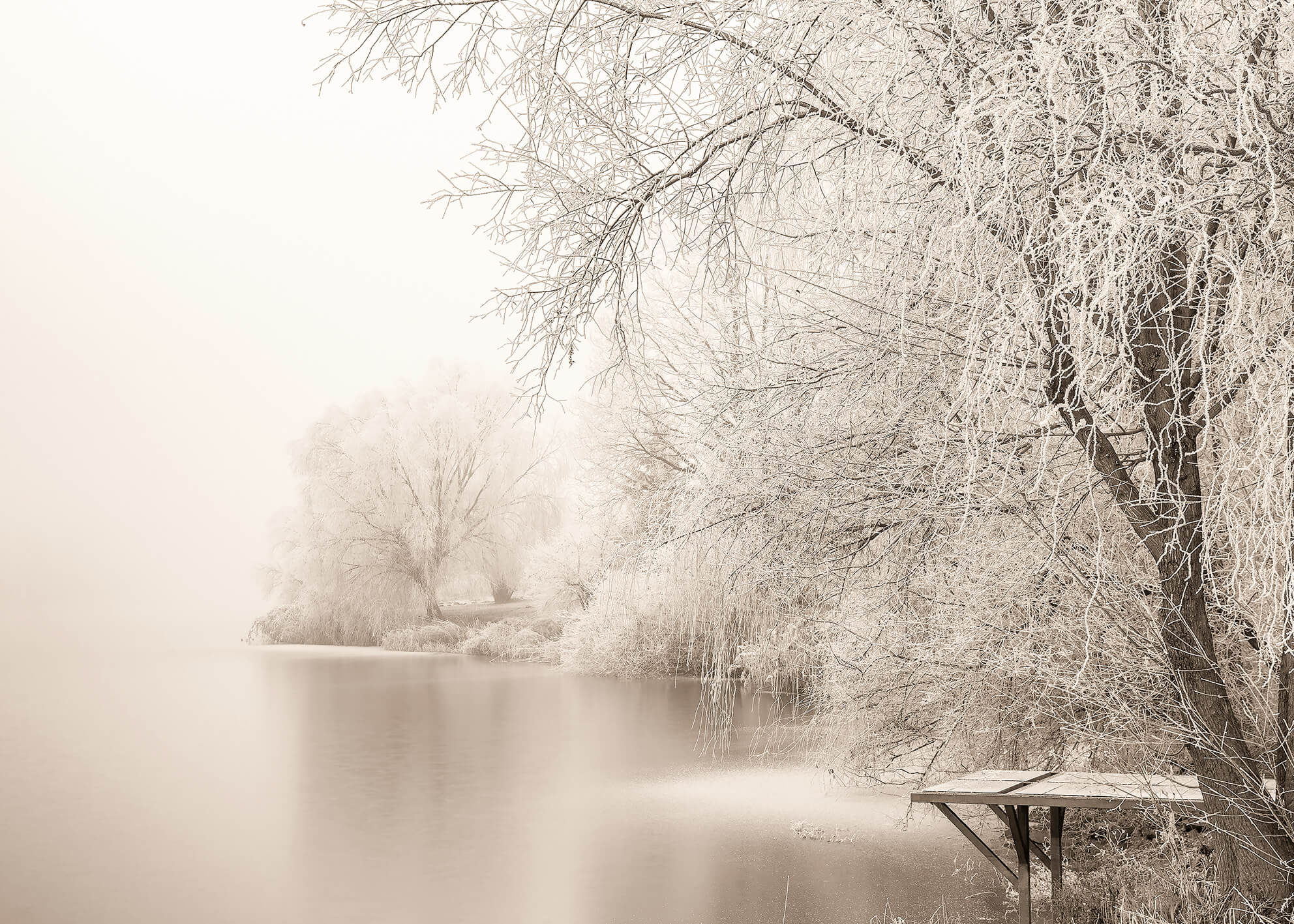 Canvastavla - Frozen Tree