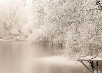 Canvastavla - Frozen Tree
