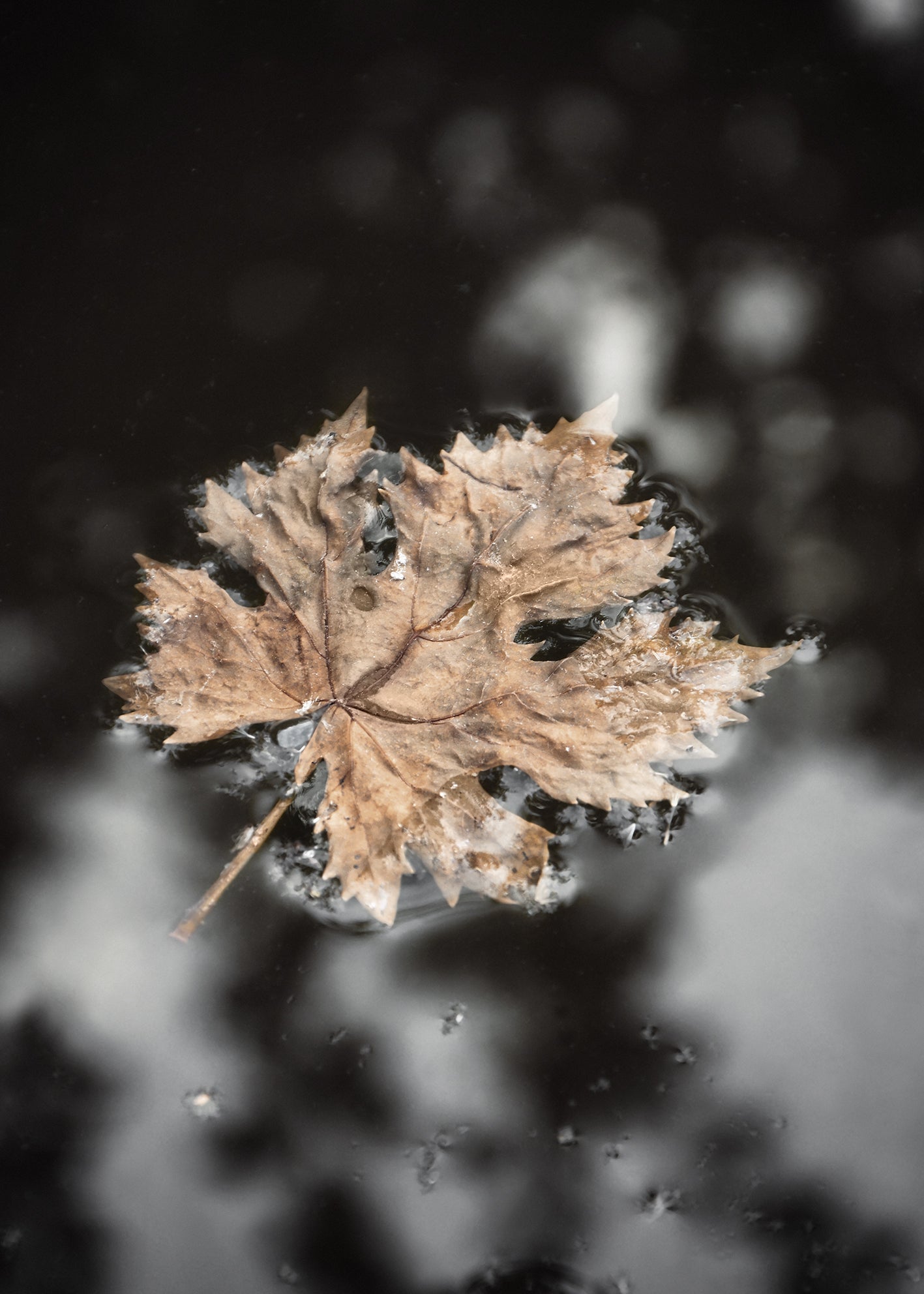 Canvastavla - Frozen Water