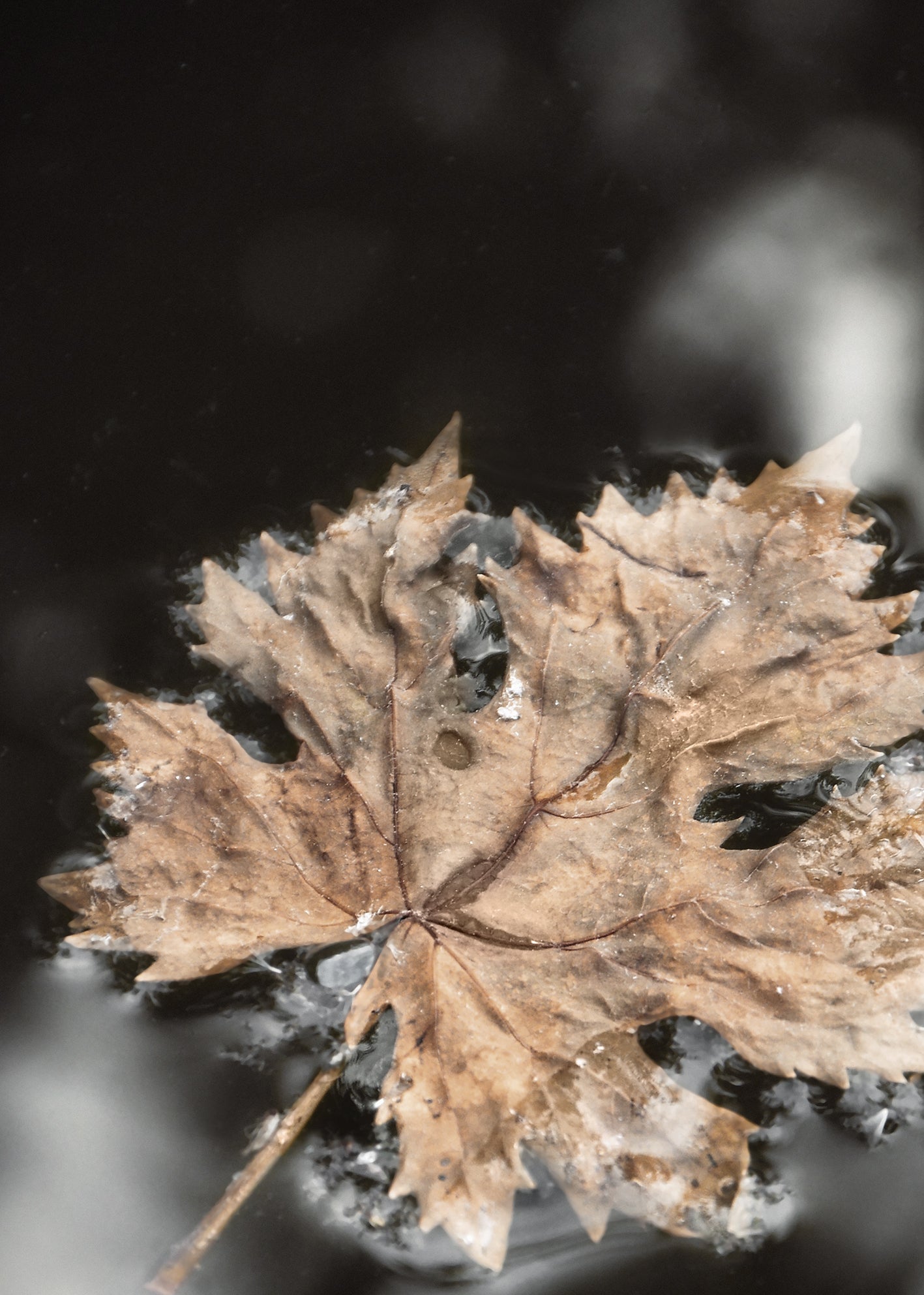 Ljuddämpande tavla - Frozen Water