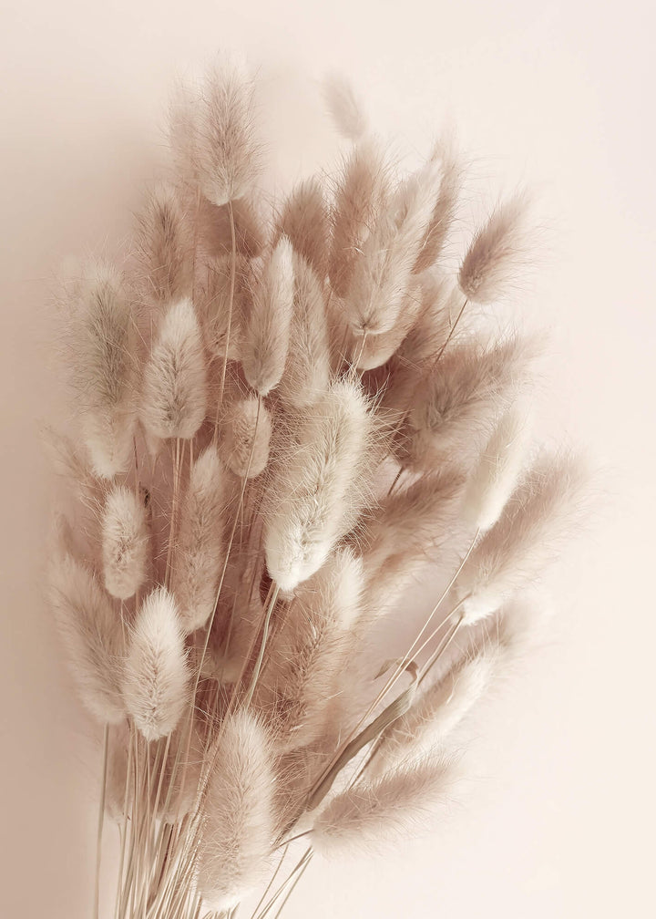 Canvastavla - Soft Pampas No1