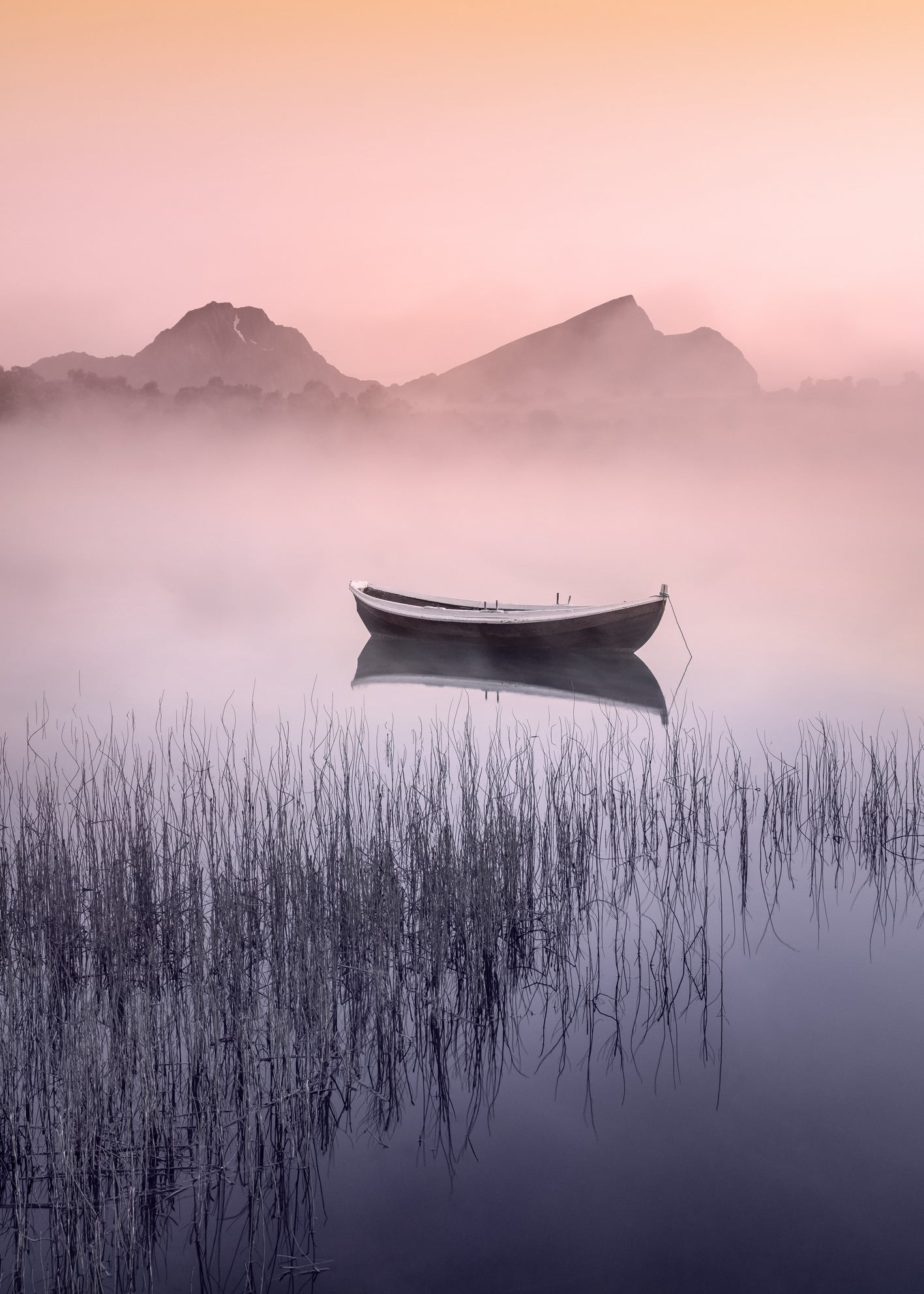Canvastavla - Lofoten Dreams