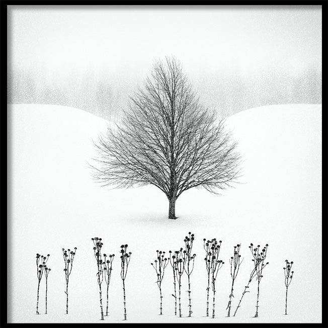 Poster - Winter View