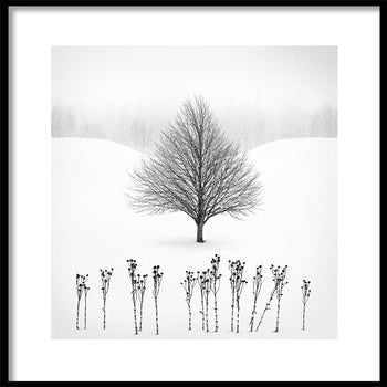 Poster - Winter View