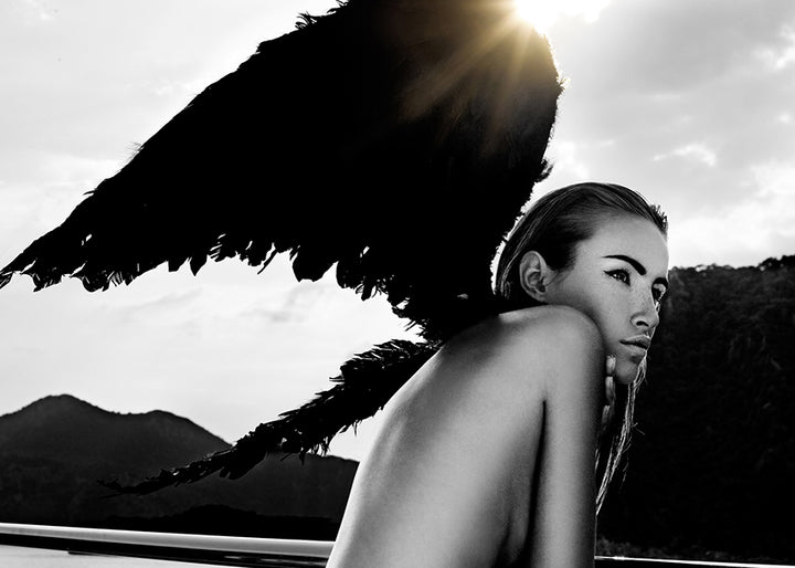 Canvastavla - Dark Wings