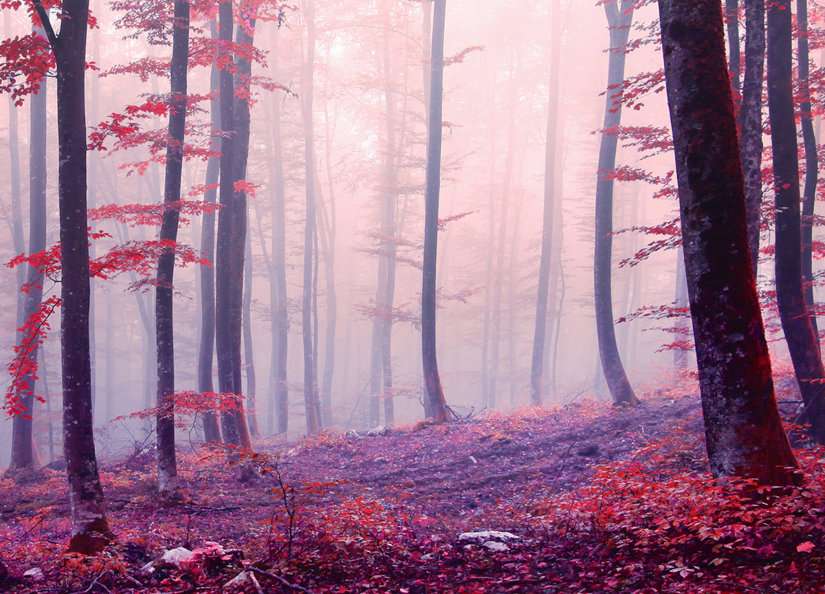 Canvastavla - Red Forest