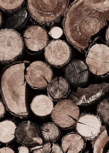 Canvastavla - Fire Wood