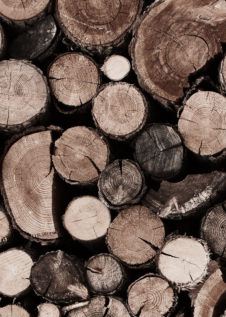 Canvastavla - Fire Wood