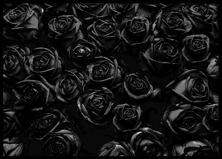 Poster - Roses