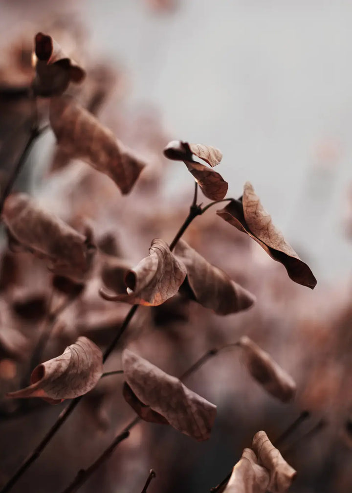 Canvastavla - Whispering Leaves