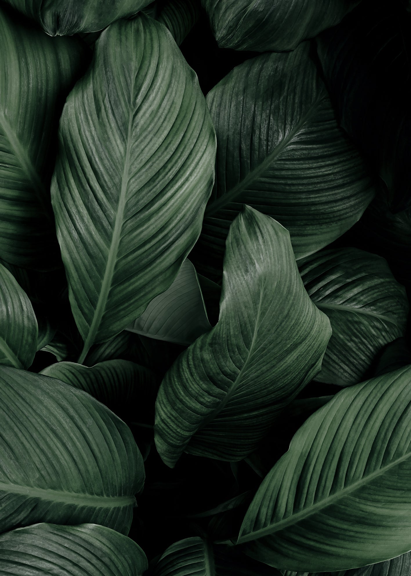 Canvastavla - Greenish