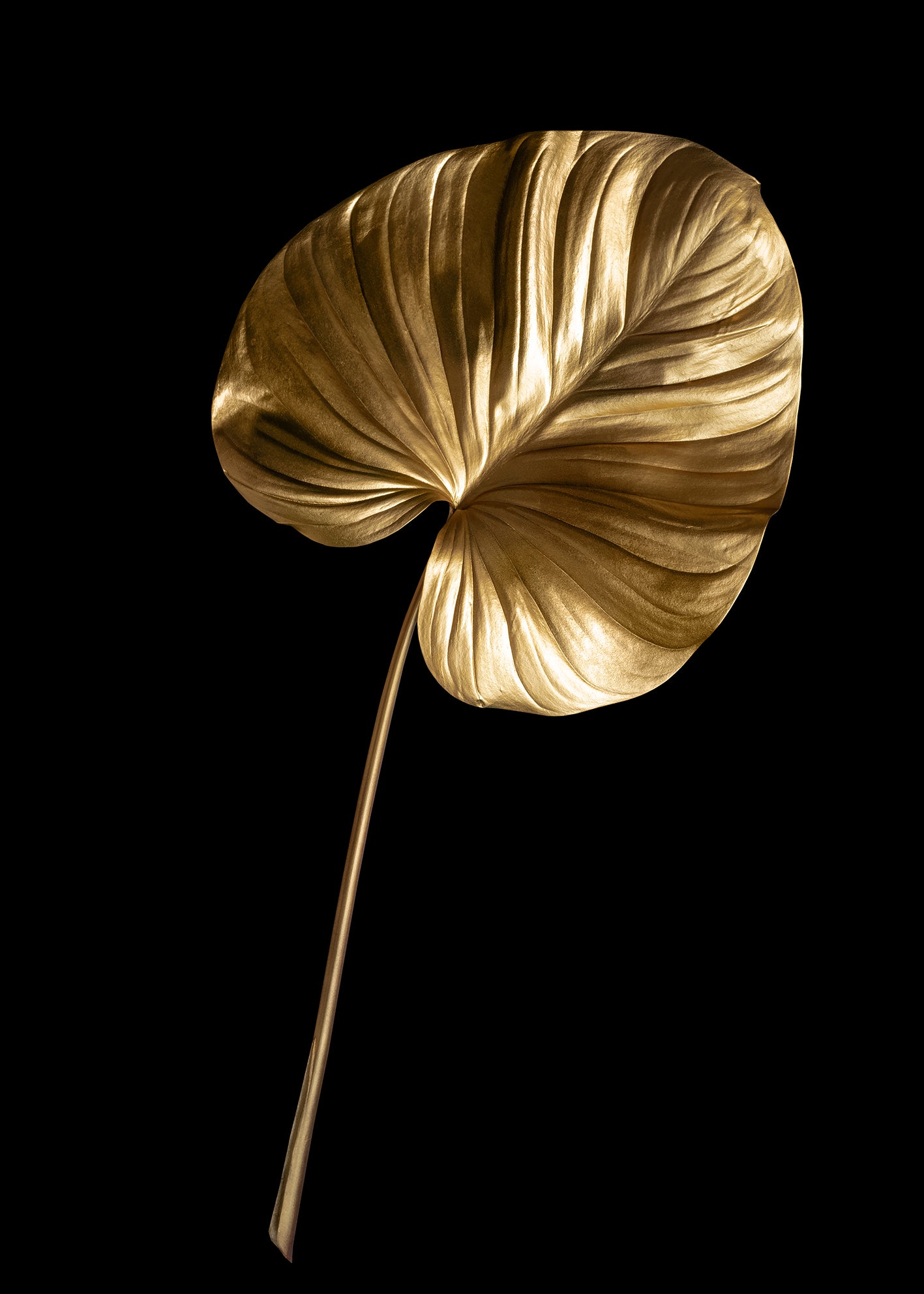 Canvastavla - Golden Leaves