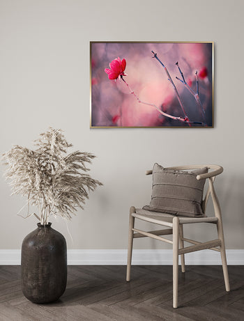 Poster - Rosette