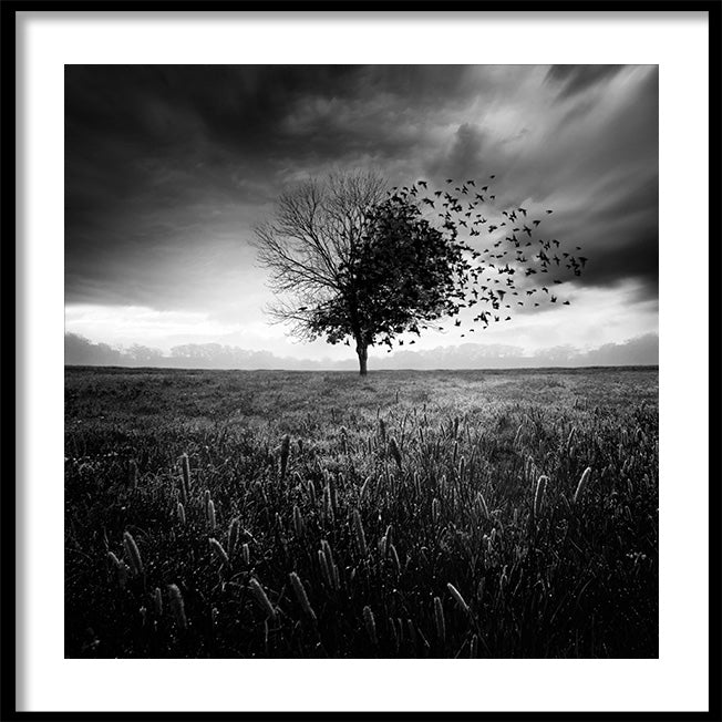 Poster - Fly Away