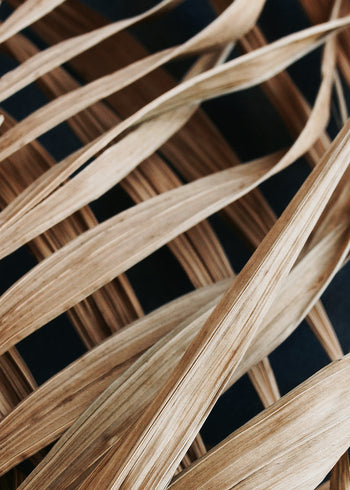 Ljuddämpande tavla - Dry Palm Leaves