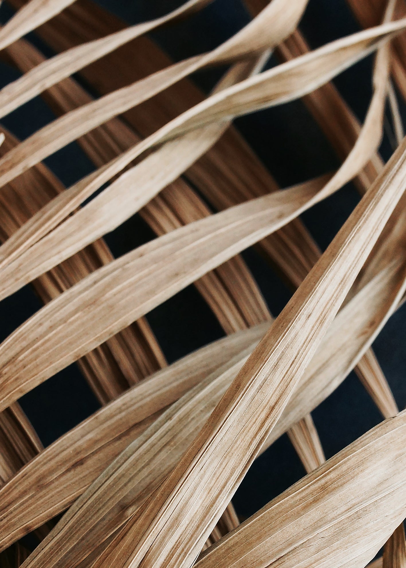 Ljuddämpande tavla - Dry Palm Leaves