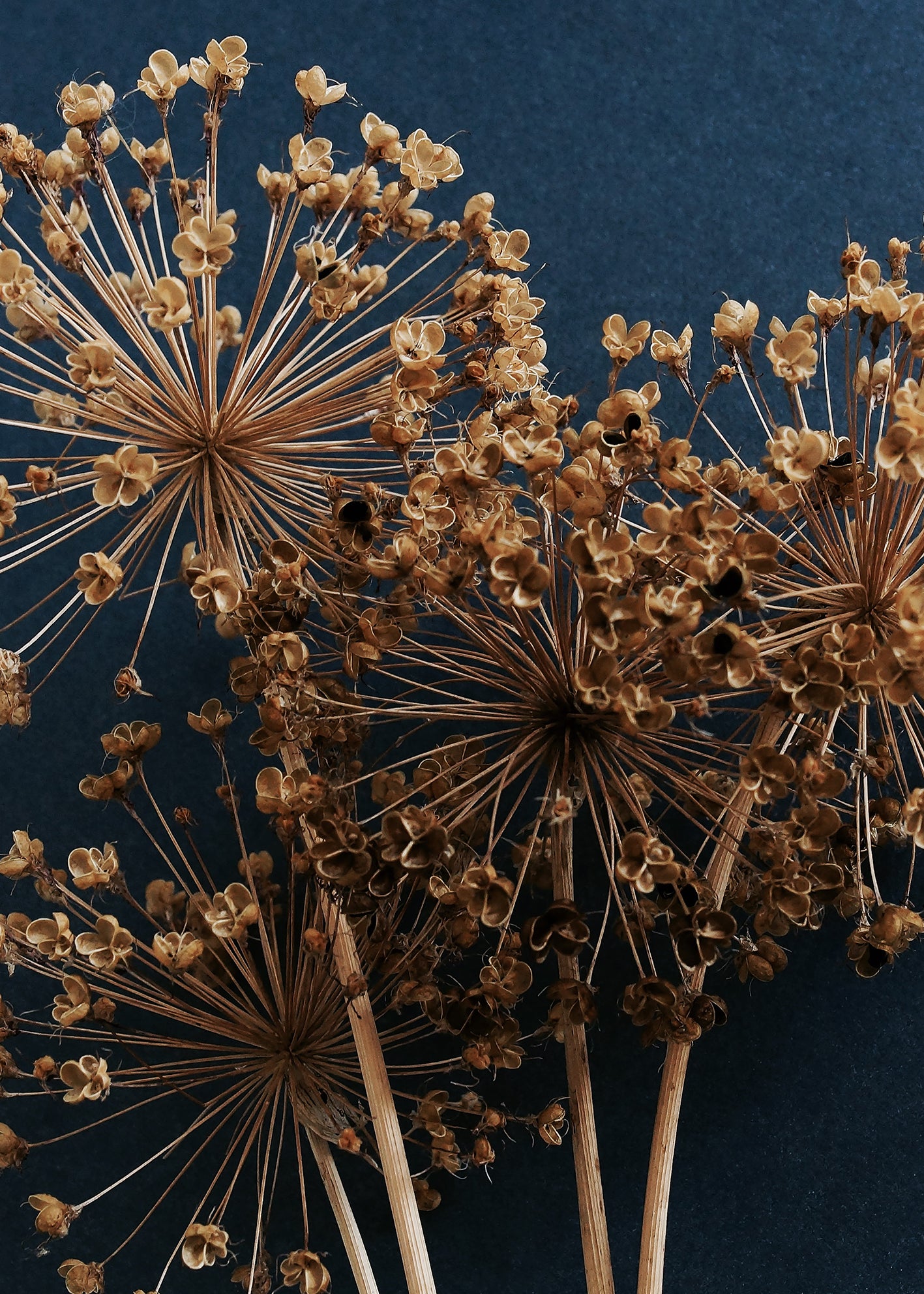 Ljuddämpande tavla - Allium