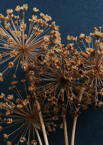 Ljuddämpande tavla - Allium