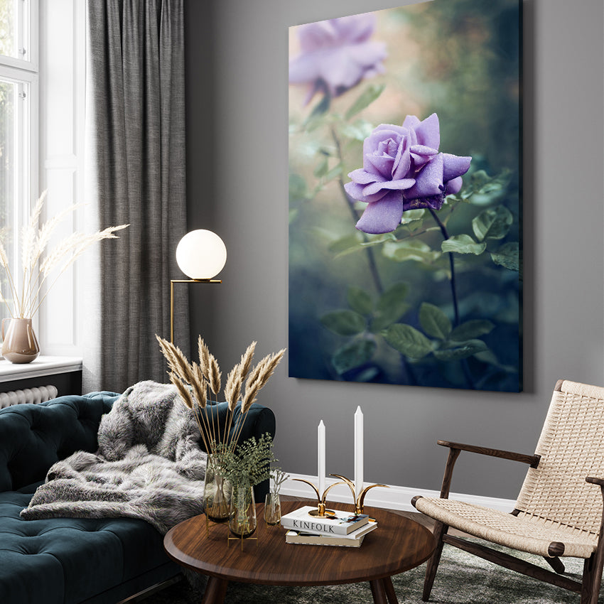 Tavla - Lilly