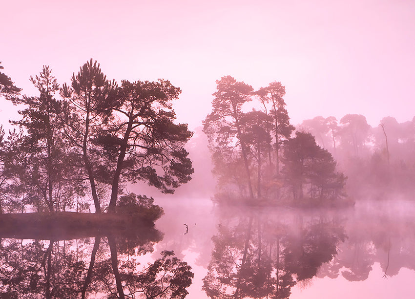 Canvastavla - Misty Lake