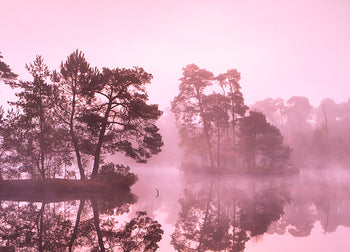 Canvastavla - Misty Lake