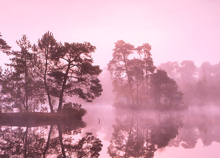 Canvastavla - Misty Lake