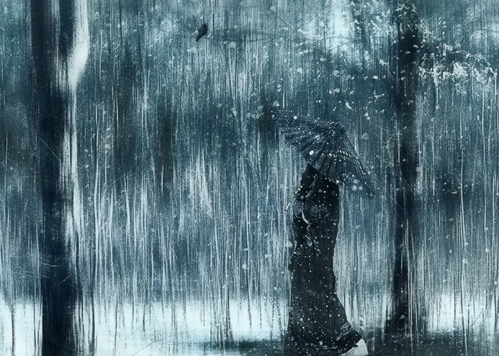 Canvastavla - Rain