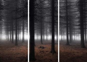 Canvastavla - Dark forest