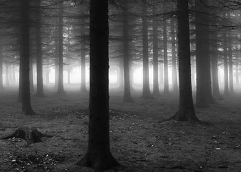 Canvastavla - Black Forest