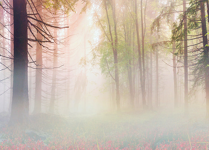 Canvastavla - Mystical forest