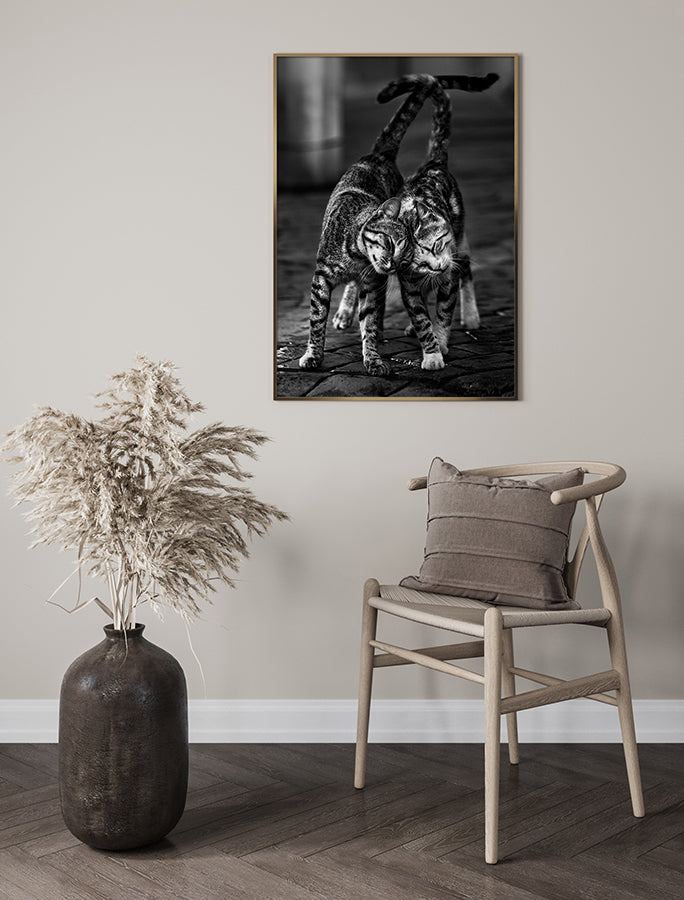 Poster - Moggy