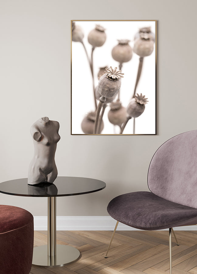 Poster - Dry poppy
