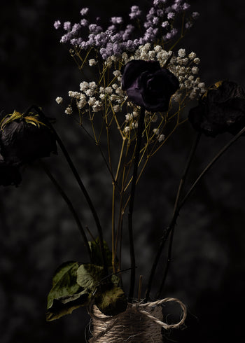 Canvastavla - Dry Flowers
