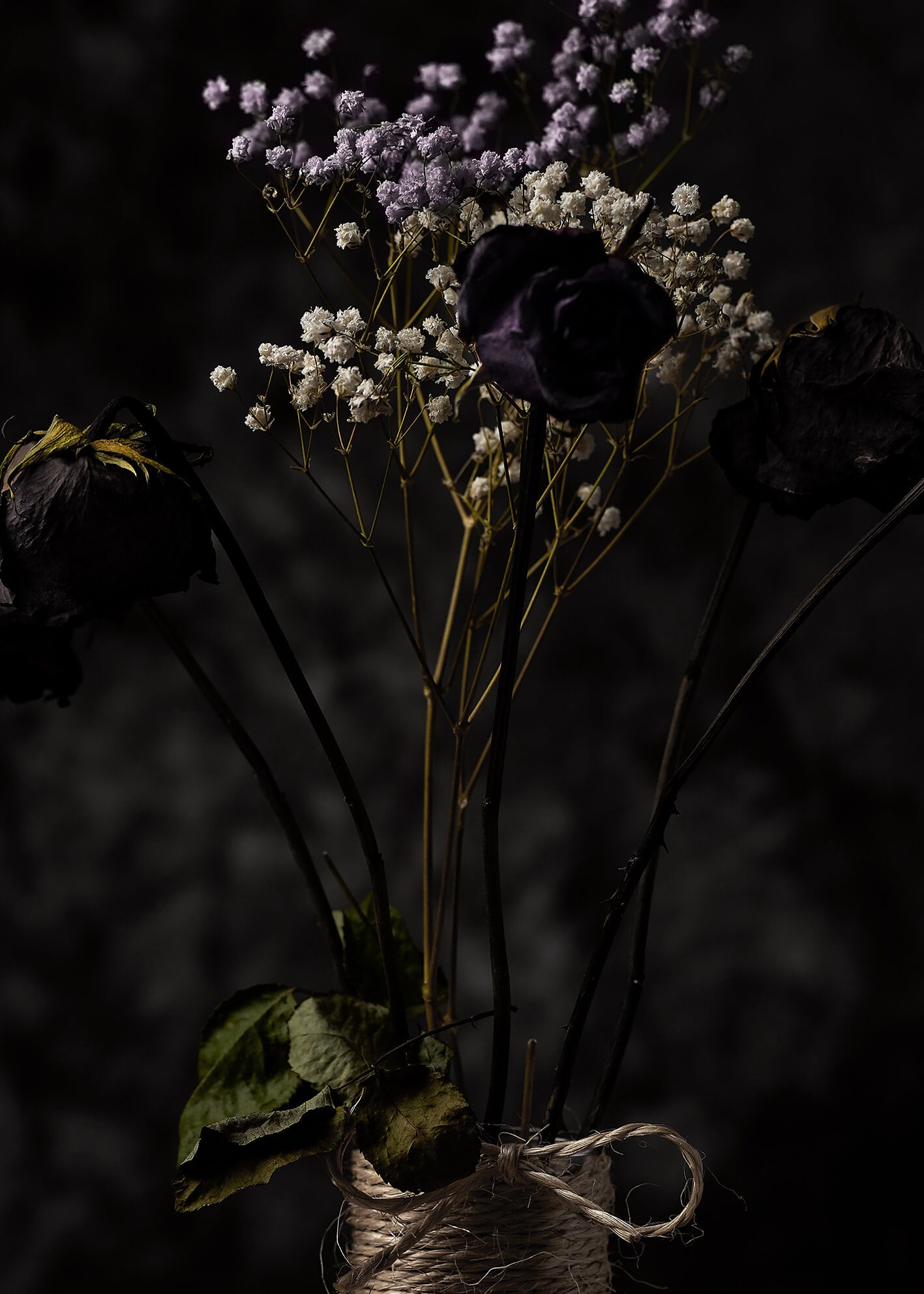 Canvastavla - Dry Flowers