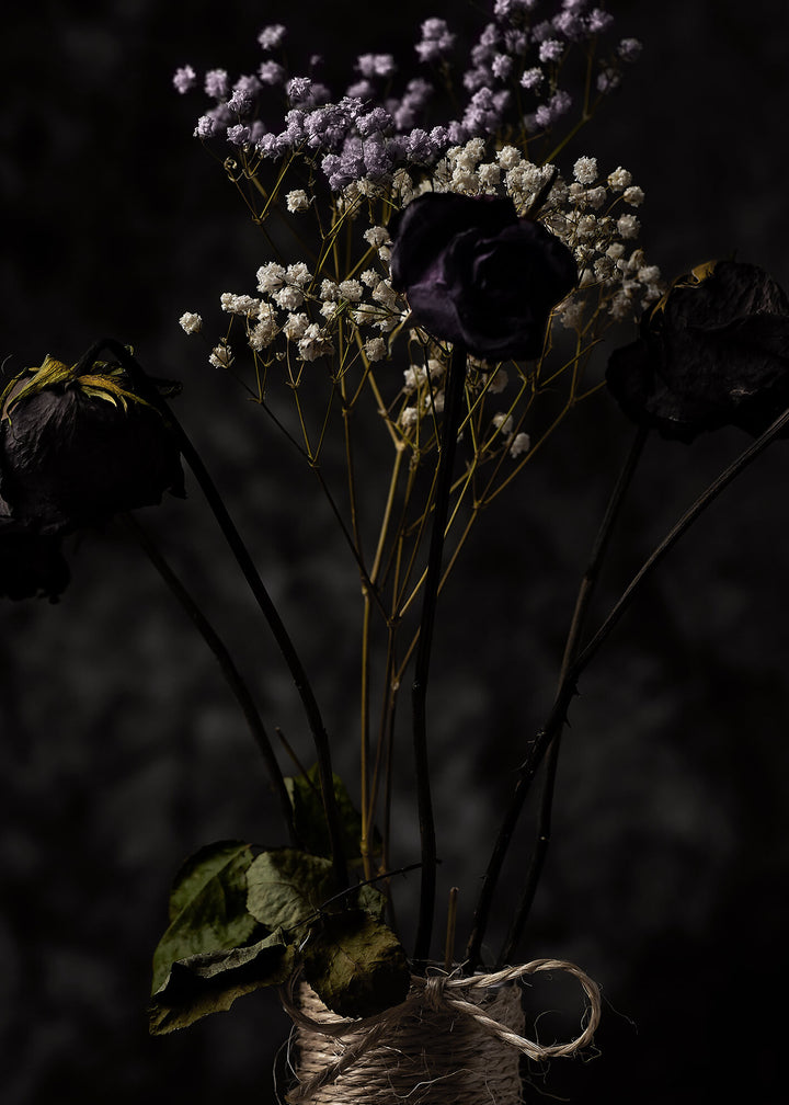 Canvastavla - Dry Flowers
