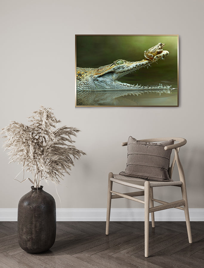 Poster - Frog And The Beast