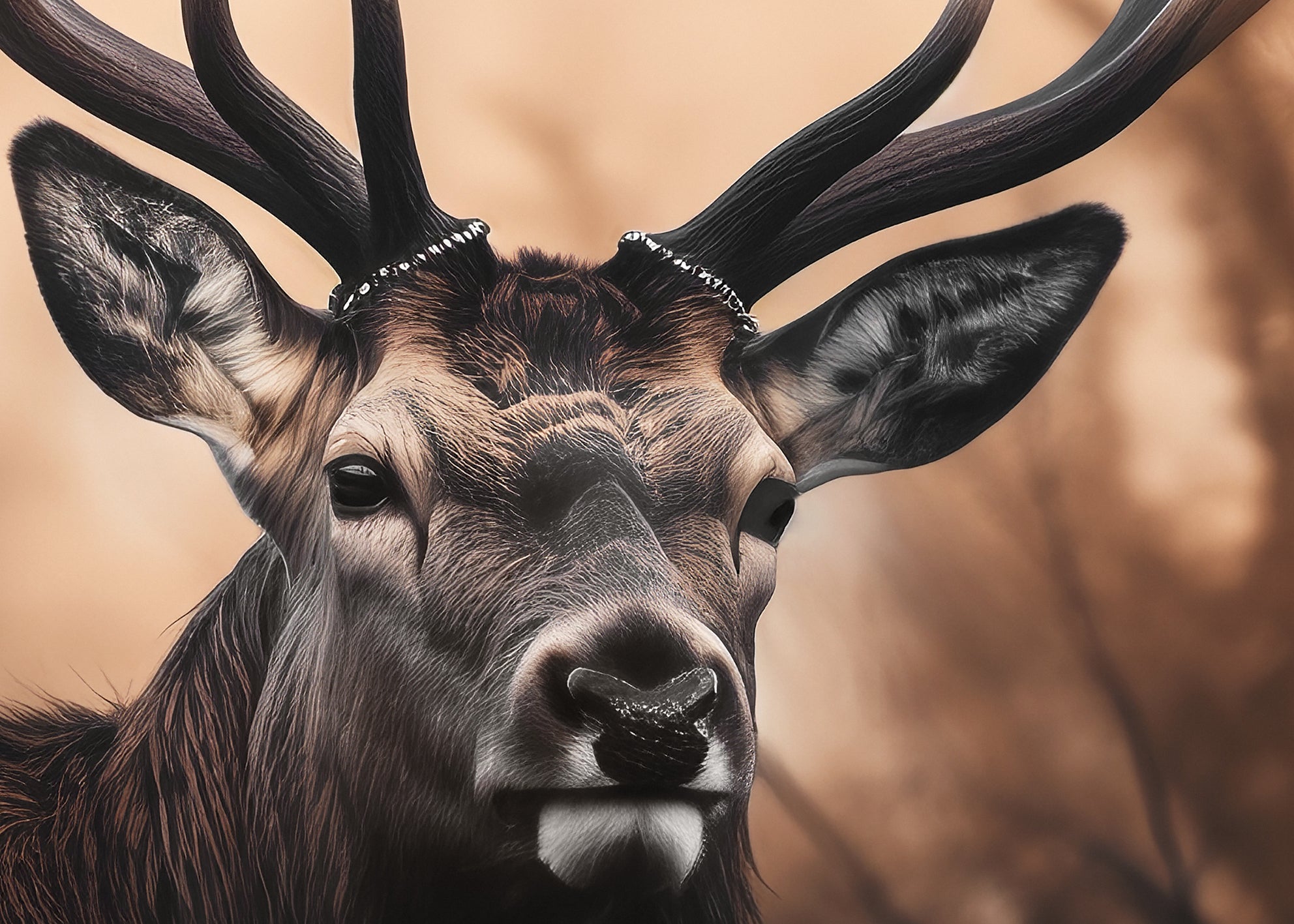 Canvastavla - Golden Gaze Buck