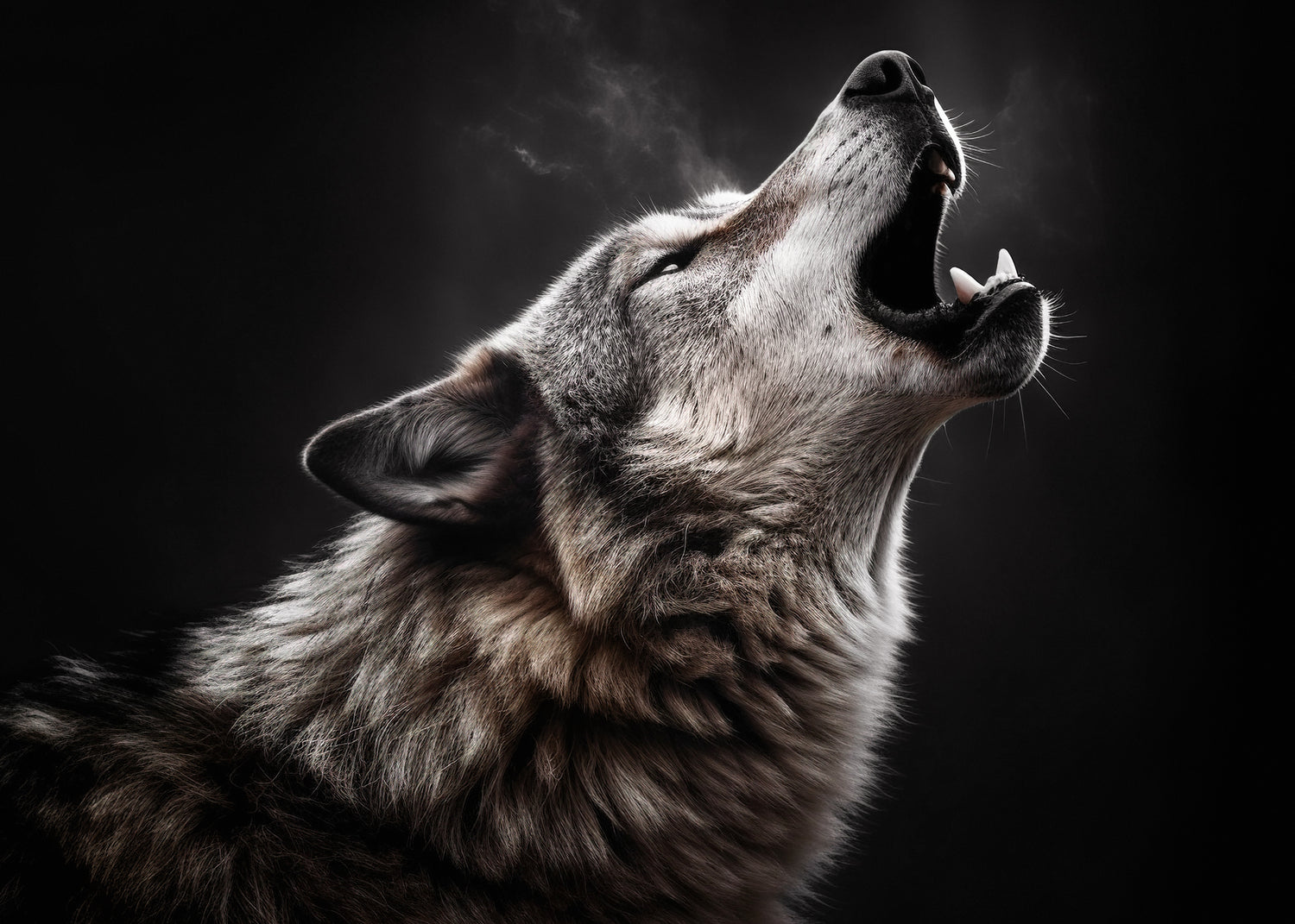 Ljuddämpande tavla - Howl