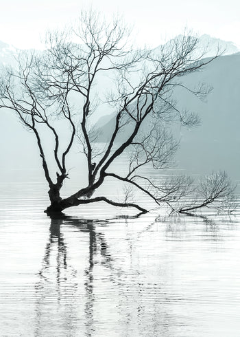 Canvastavla - Quietude