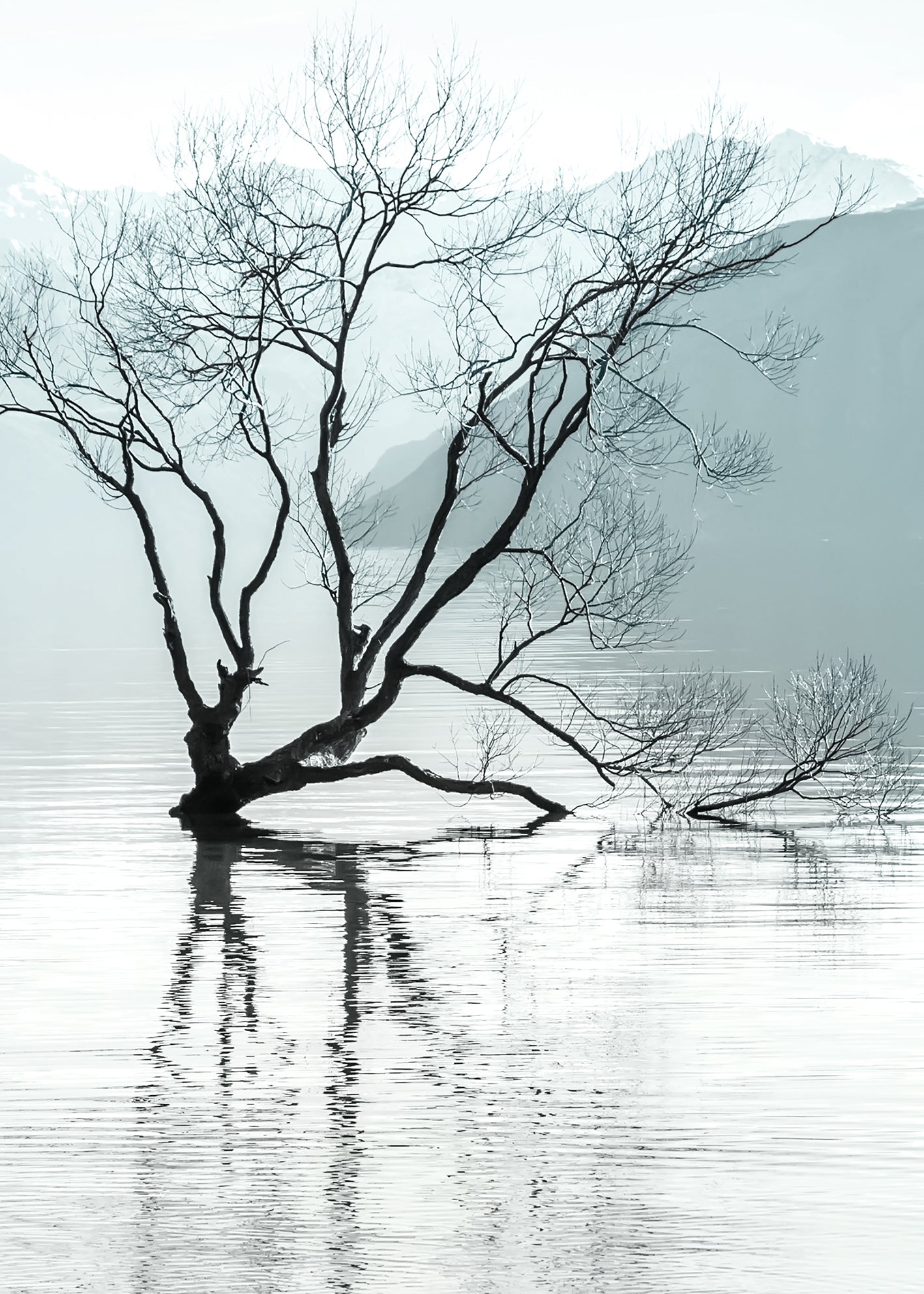Canvastavla - Quietude