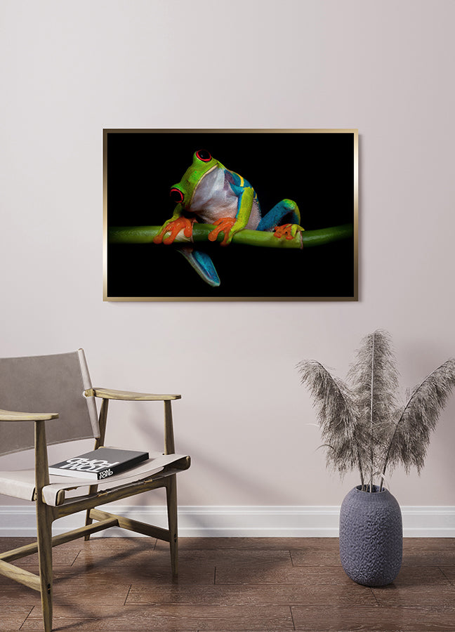 Poster - Froggy