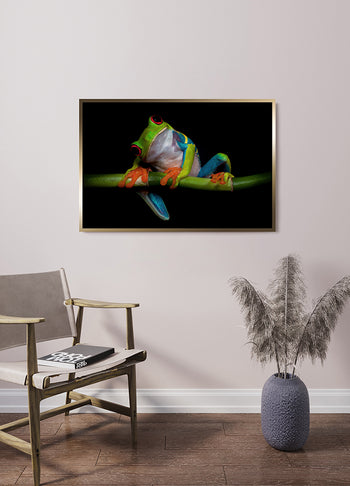 Poster - Froggy
