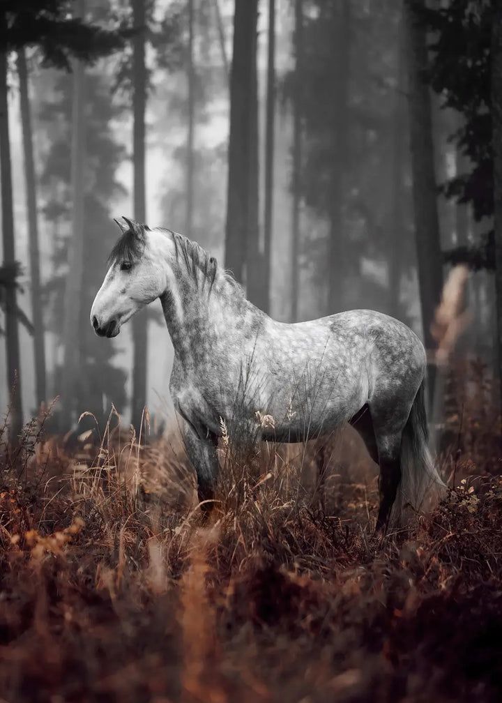 Canvastavla - Forest Grace