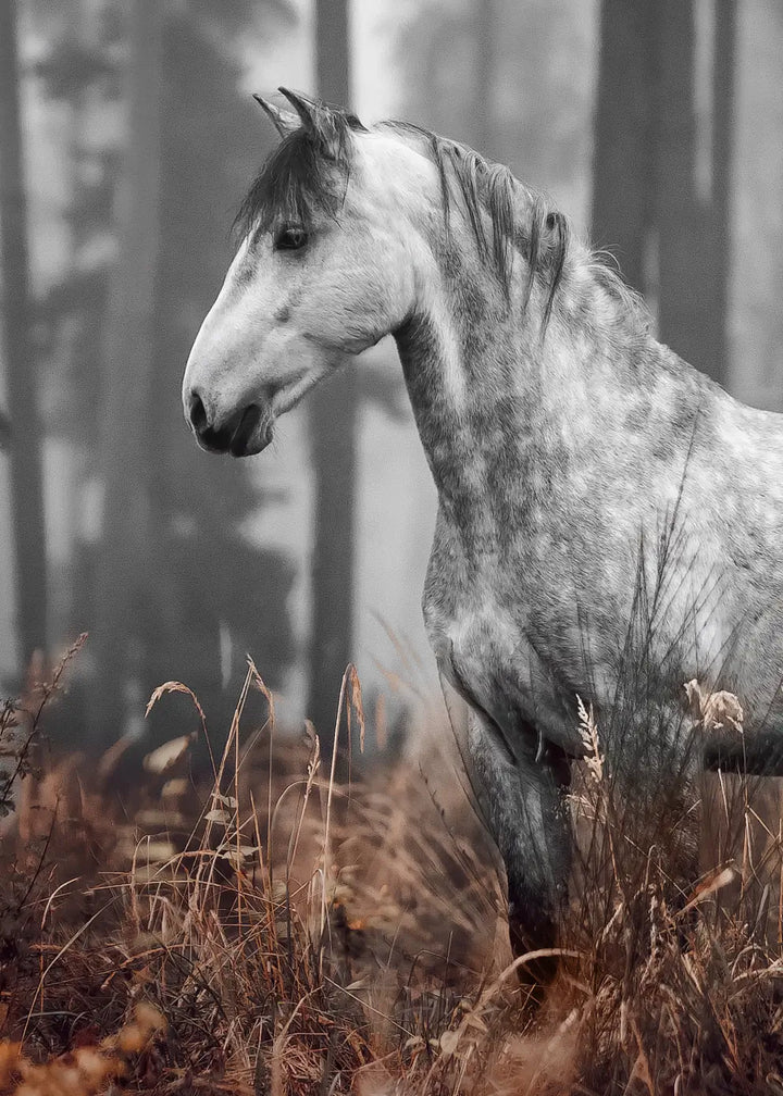 Canvastavla - Forest Grace