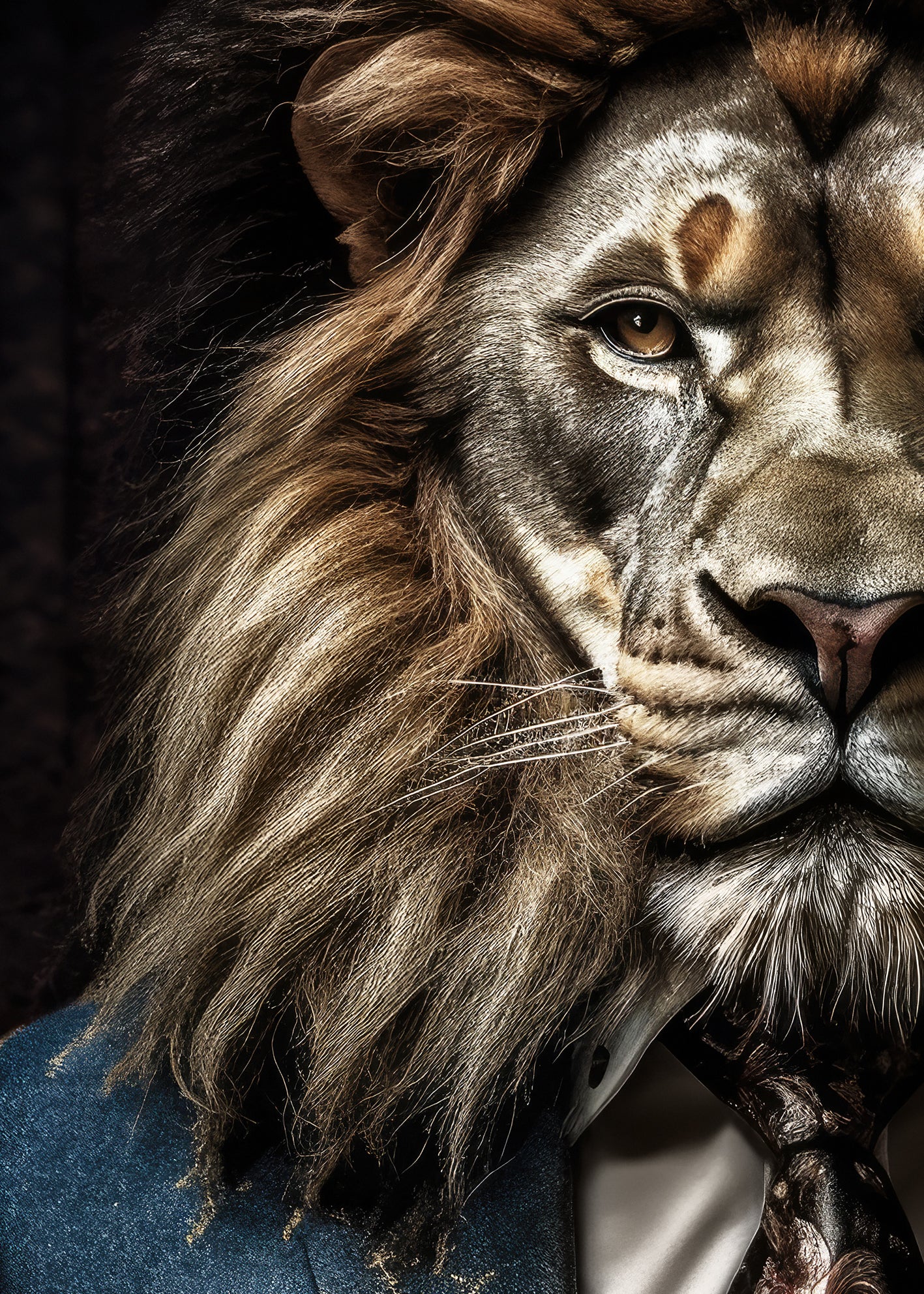 Canvastavla - Lion Man
