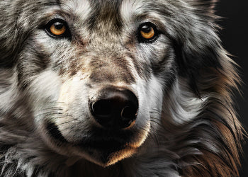 Canvastavla - Wolf Gaze