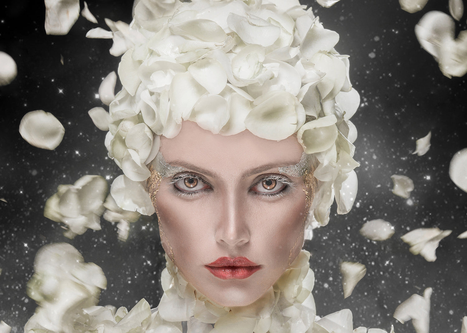 Canvastavla - White Rose
