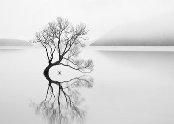 Canvastavla - Serenity